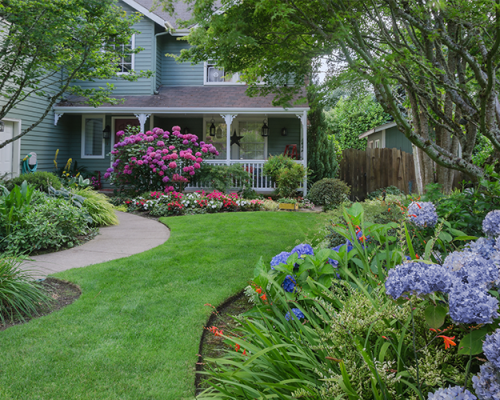 Garden Design & Planting