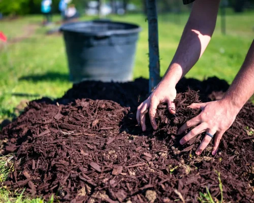 Mulching2